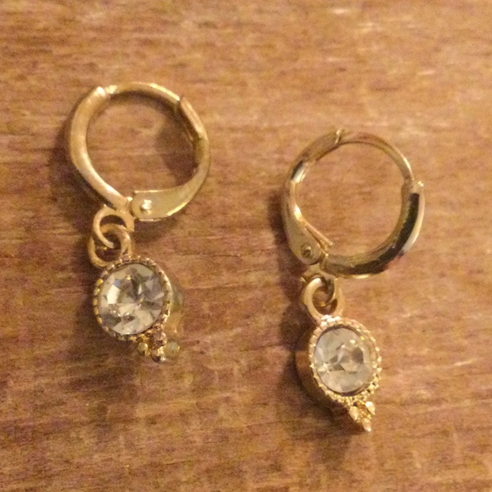 NWOT Anthro Teardrop Dangle Earrings